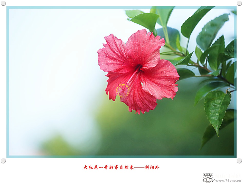257A45232015.2.25_.jpg