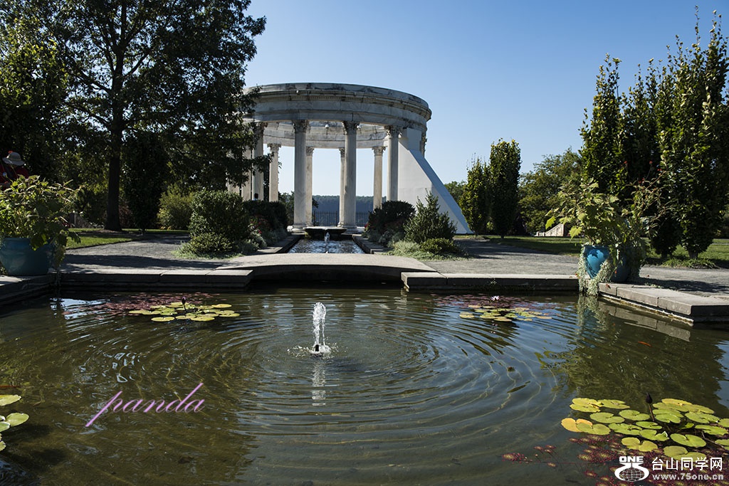 DSC_9264.jpg