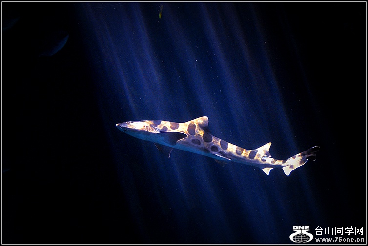 DSC_3564.JPG