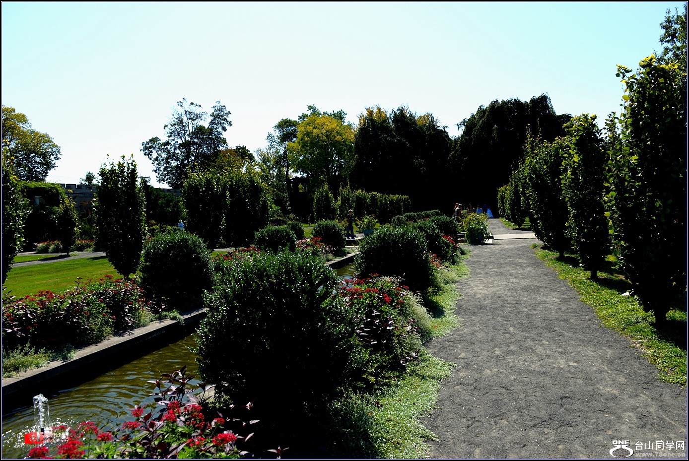 DSC_5952.jpg