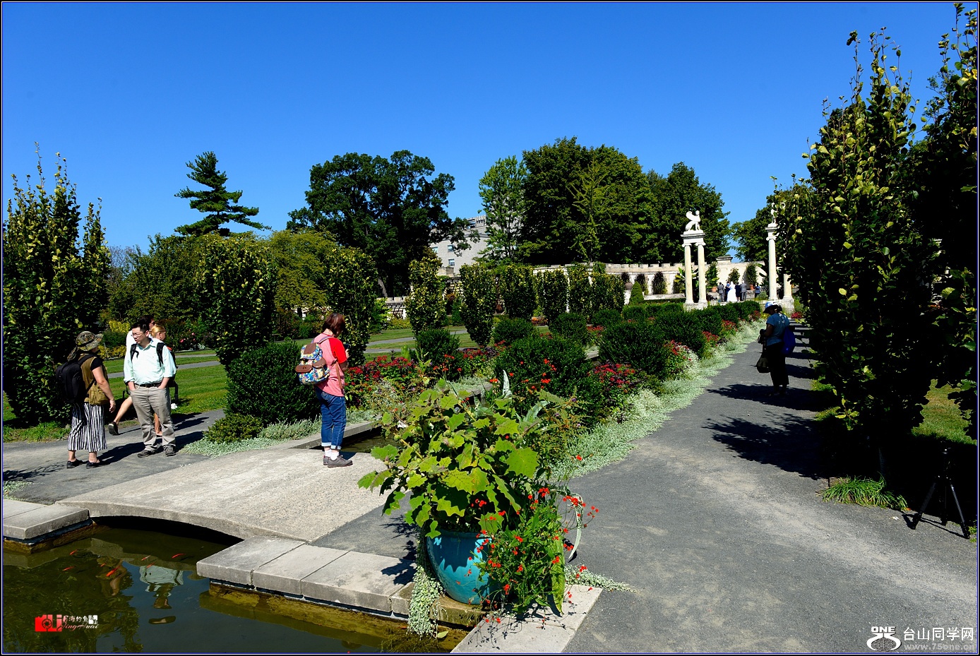 DSC_5910.jpg