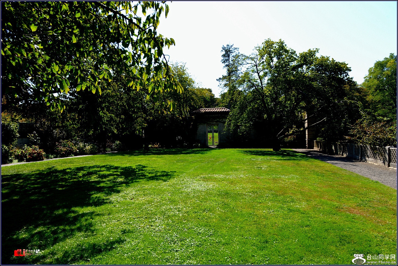 DSC_5945.jpg
