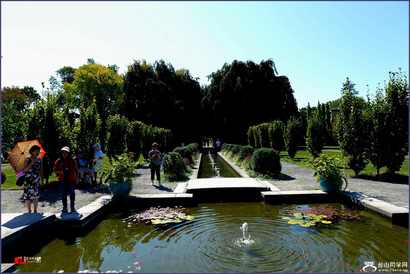 DSC_5904.jpg