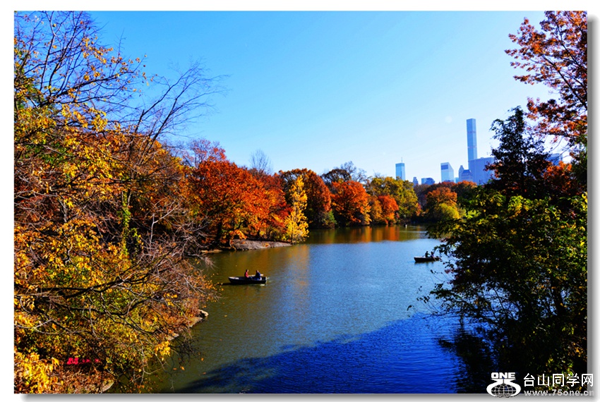 DSC_9668__.jpg