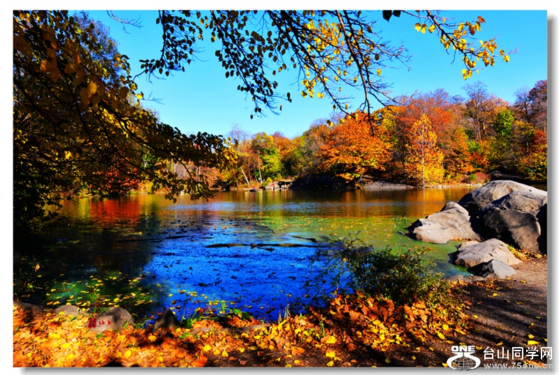 DSC_9642____.jpg
