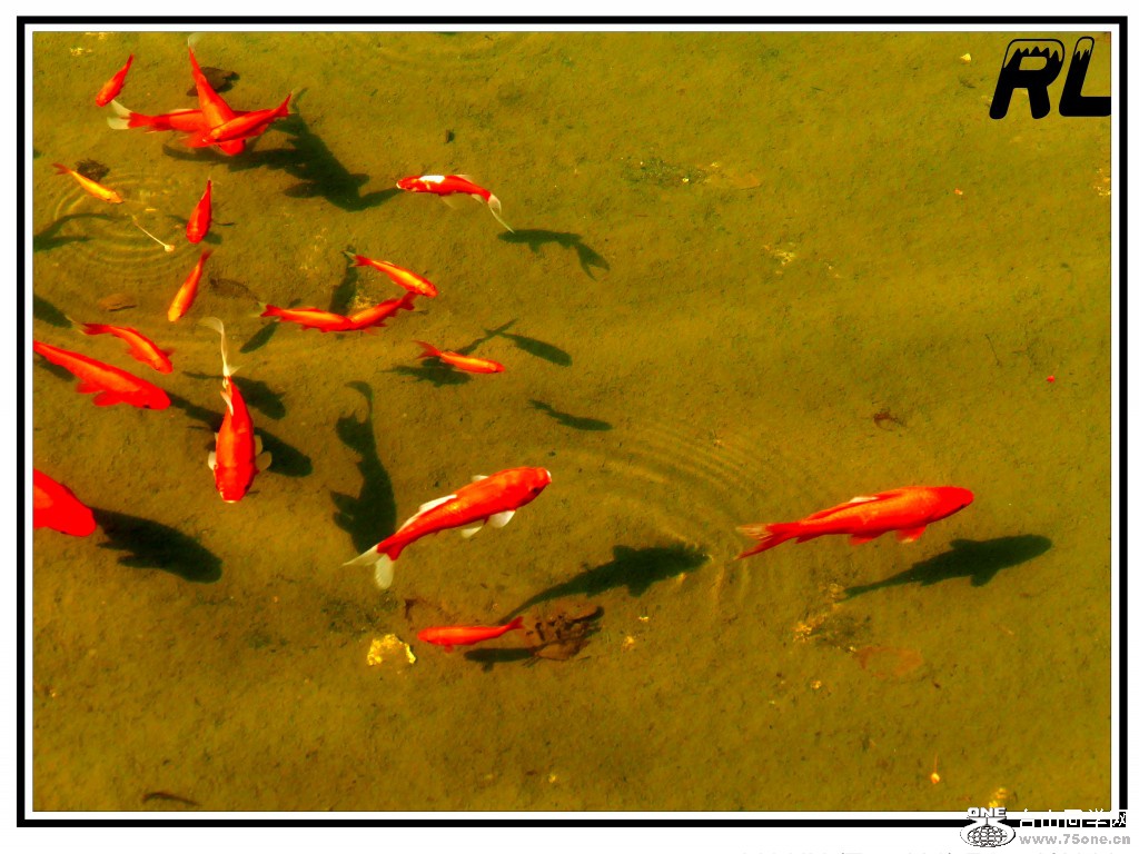 L3040133_conew1.jpg