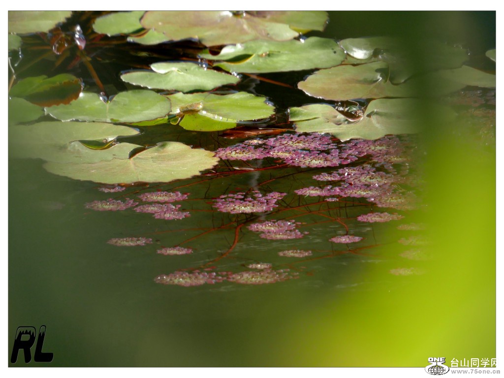 L3040957_conew1.jpg