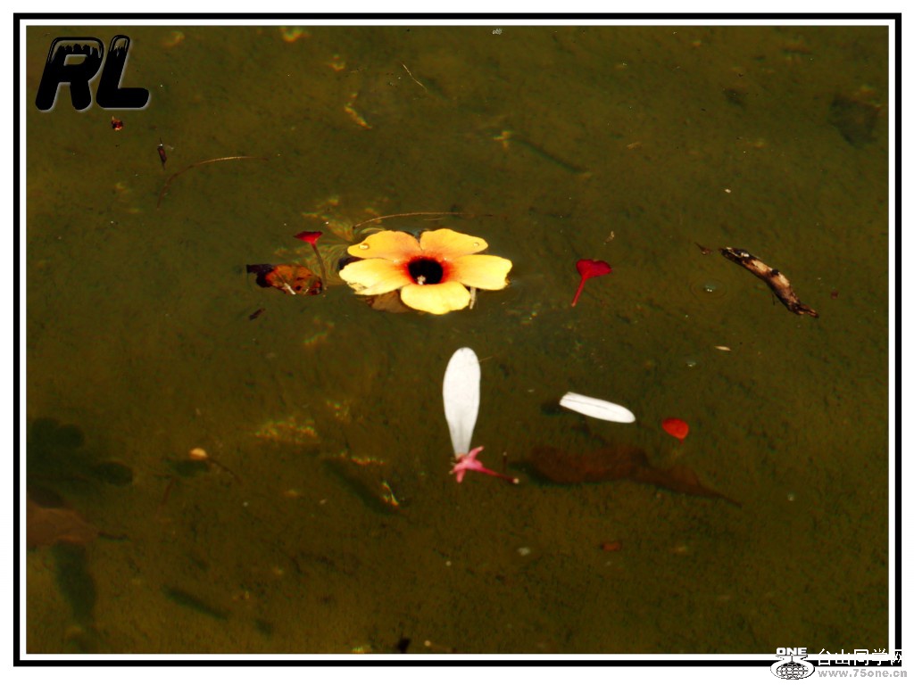 L3040127_conew1.jpg
