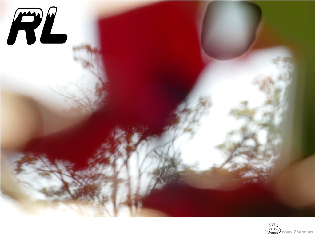 L3040238_conew2.jpg