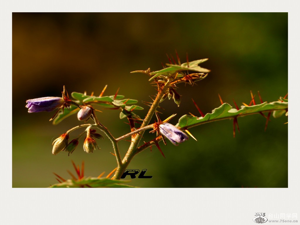 L3040152_conew1.jpg