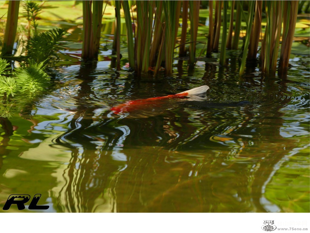 L3040188_conew2.jpg