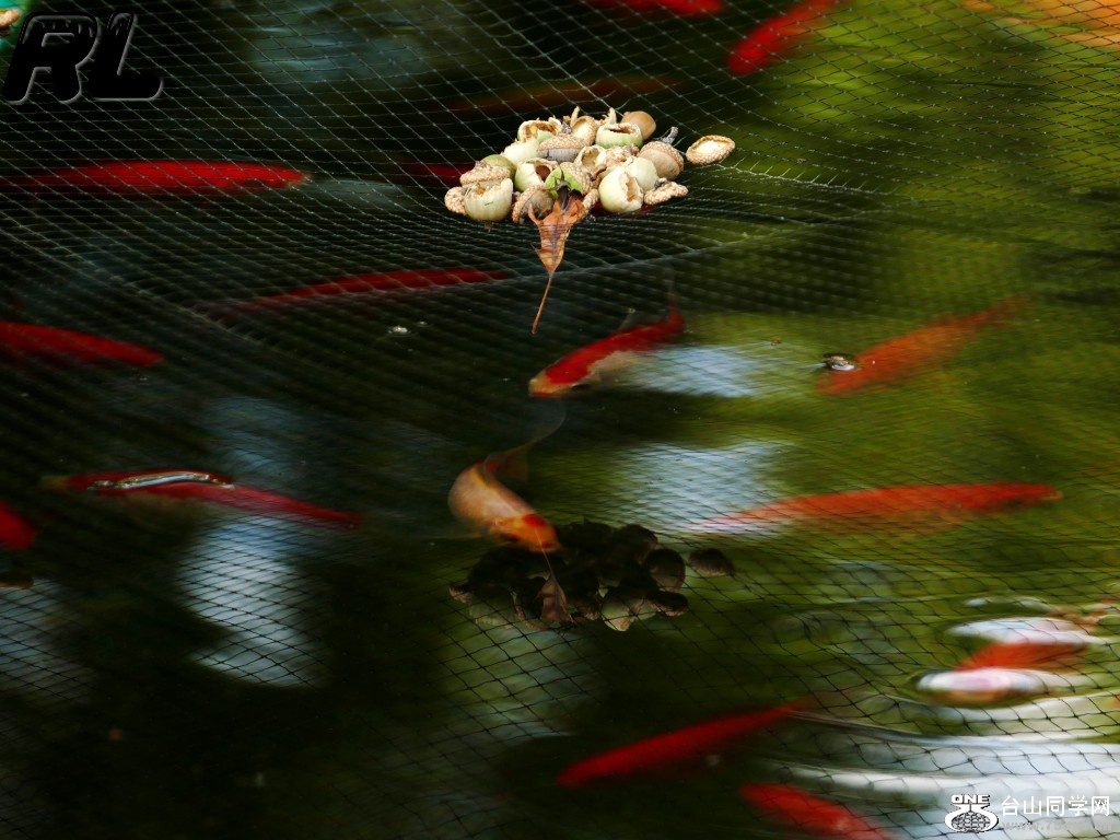 L3030811_conew1.jpg