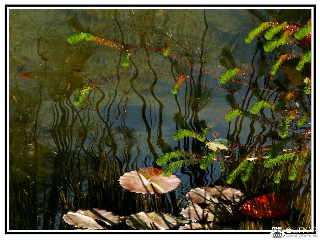 L3040252_conew1.jpg