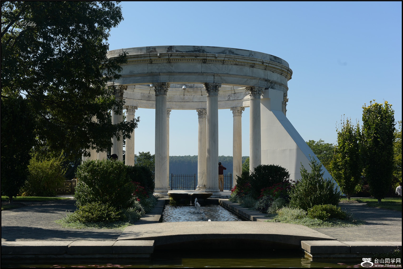 DSC_3524.jpg