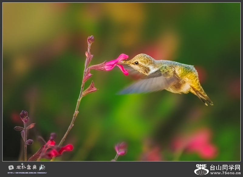 DSC_0094_DxOs.jpg