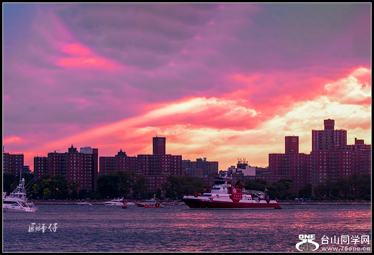 _DSC8408.jpg