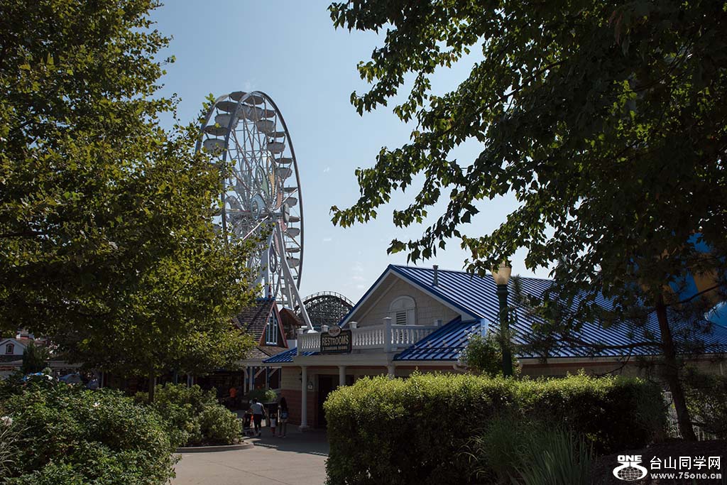 238.jpg