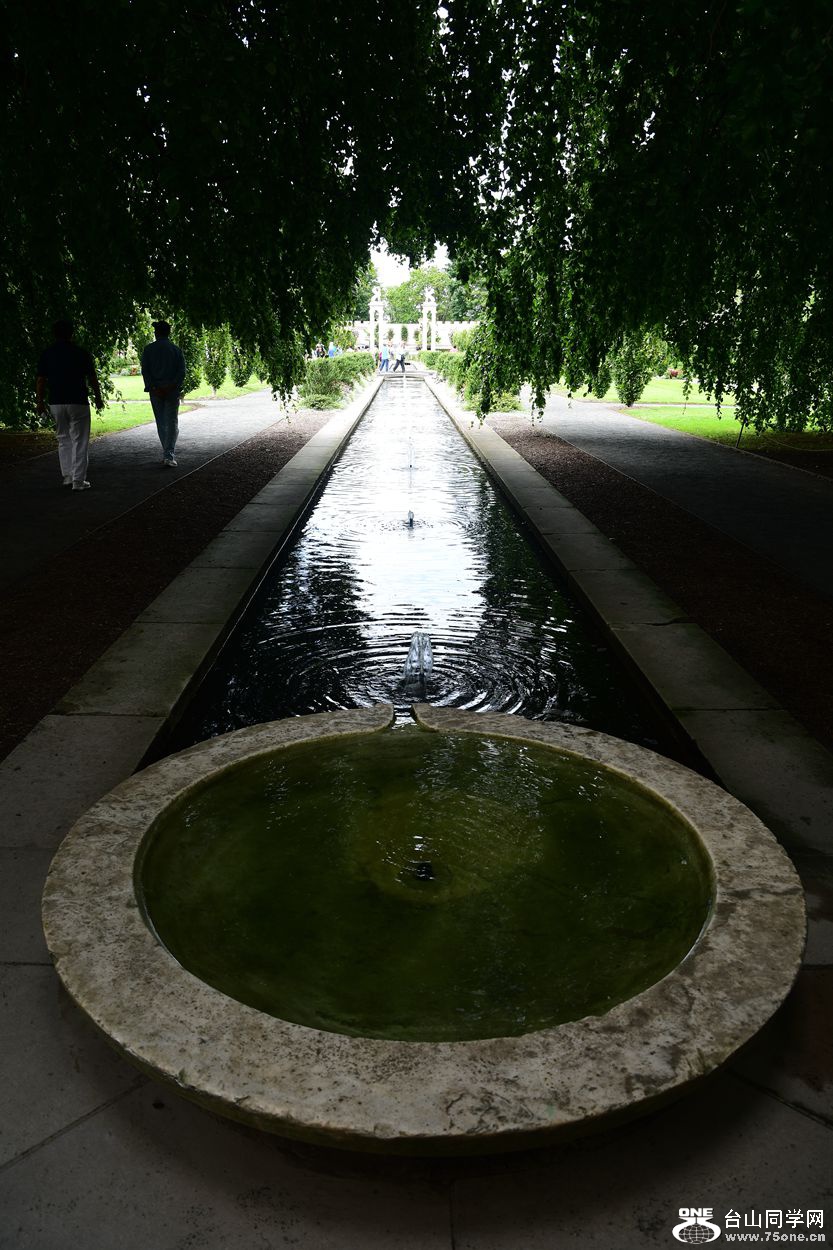 DSC_9315_.jpg