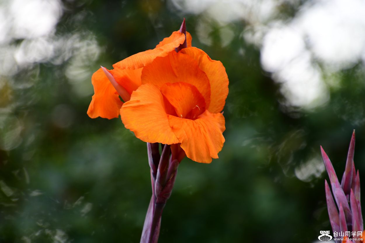 DSC_1282_.jpg