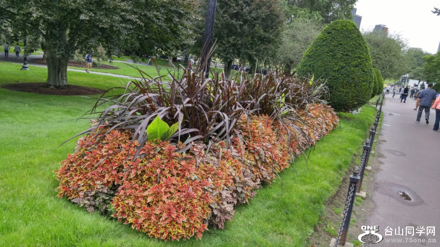 20170923_100245_HDR.jpg