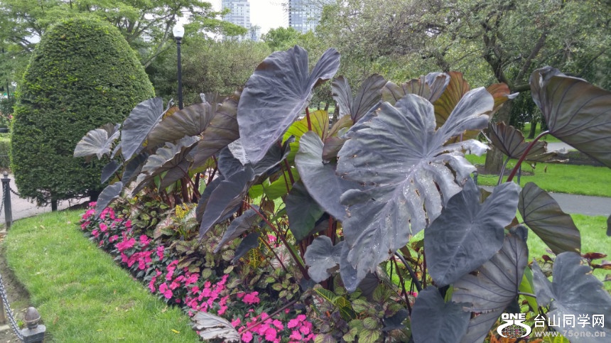 20170923_100344_HDR.jpg