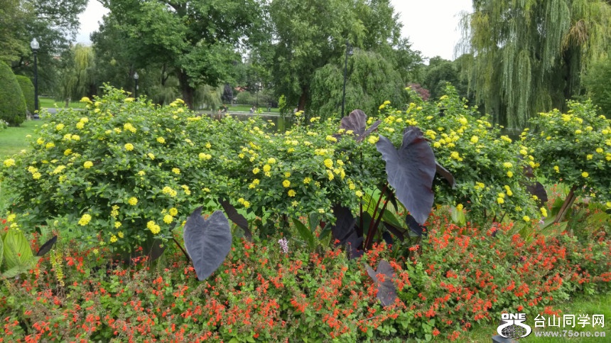 20170923_100026_HDR.jpg
