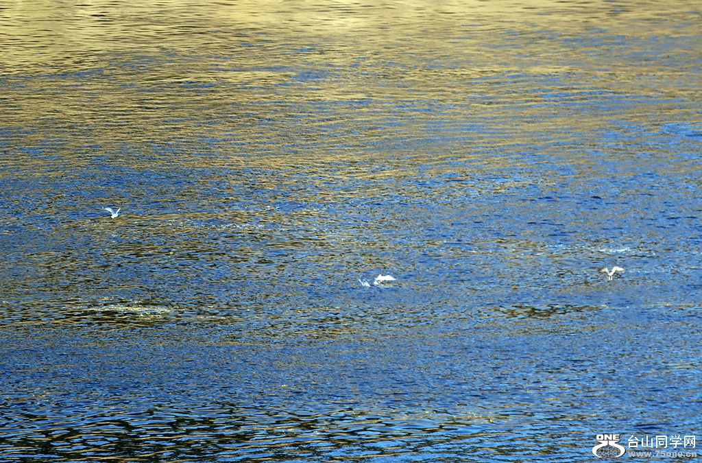 IMG_6548_.jpg