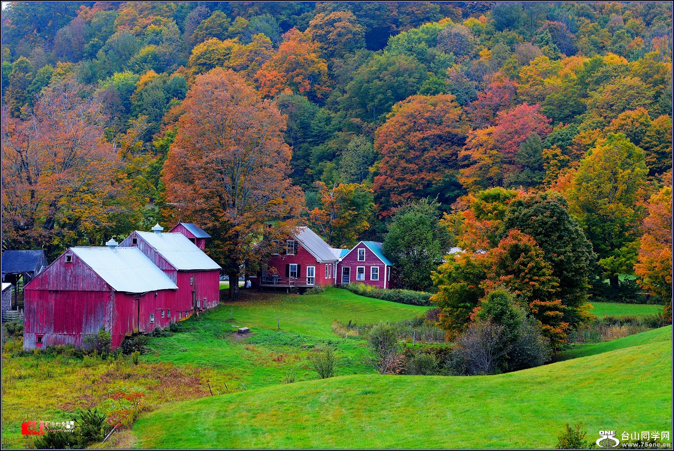DSC_8755_.jpg