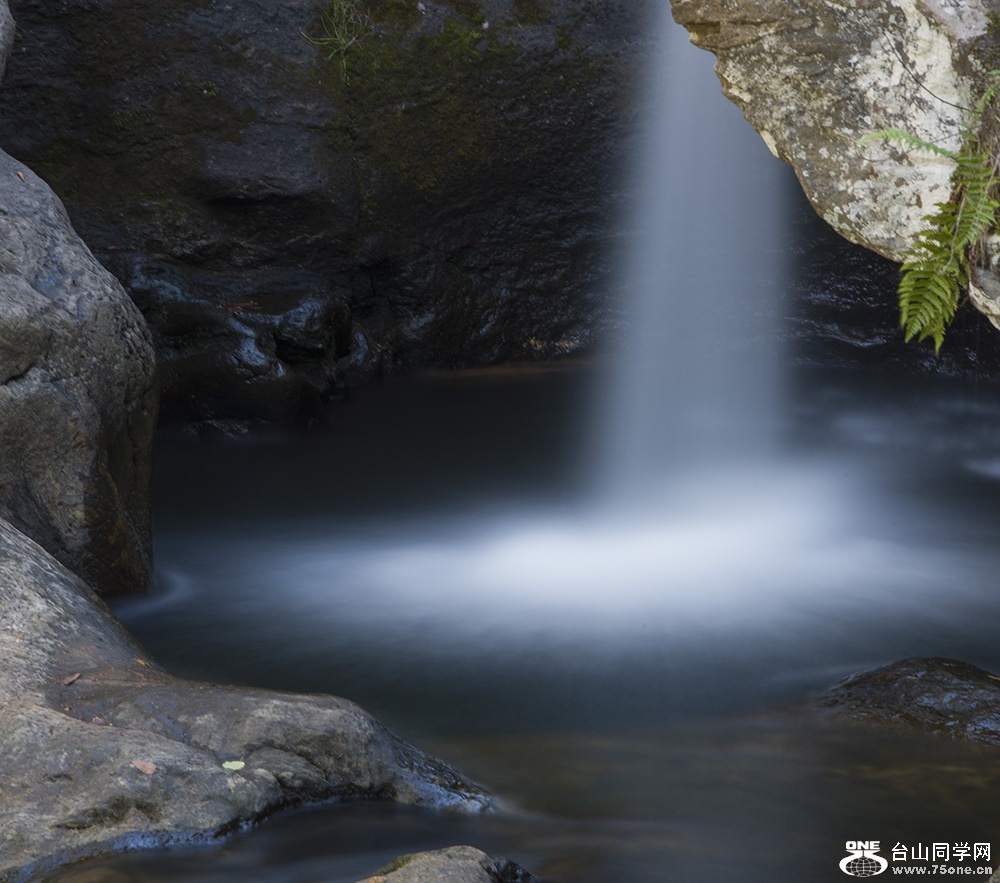 DSC_2233.jpg