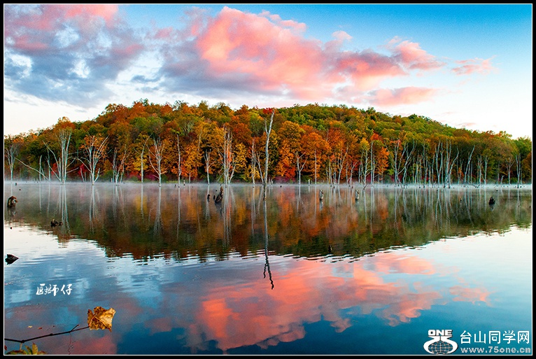 DSC_1743.jpg