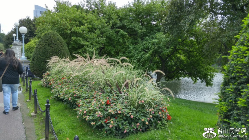 20170923_100105_HDR.jpg