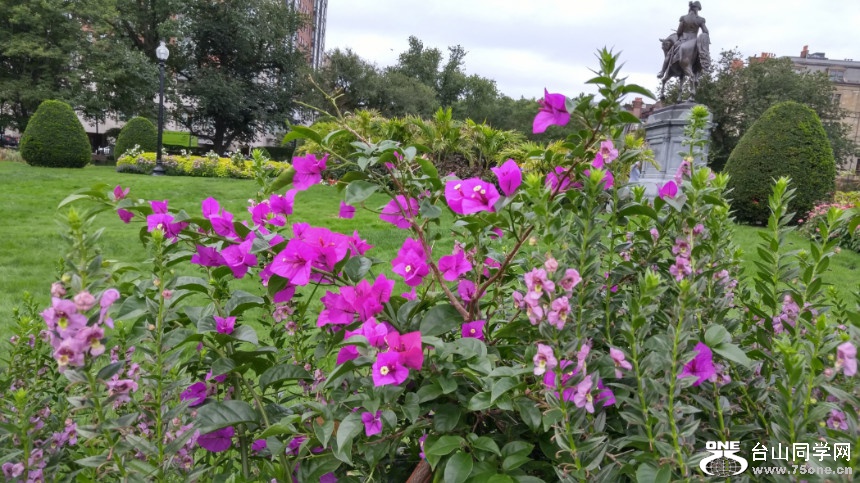 20170923_095912_HDR.jpg