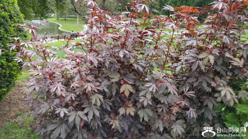 20170923_100055_HDR.jpg