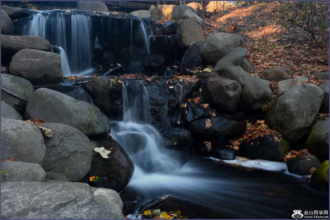 DSC_2756_.jpg
