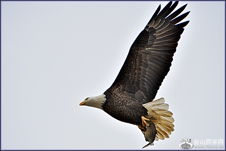 DSC_4340-2.jpg