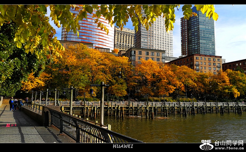 IMG_20171104_153056_.jpg