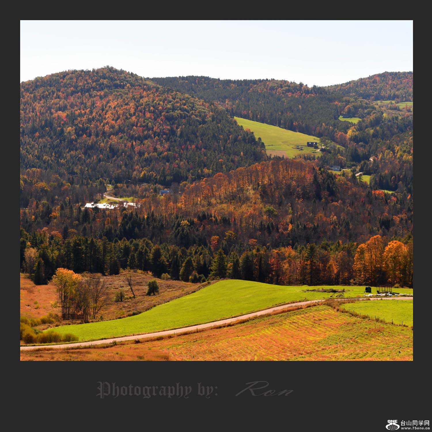 0283-8.jpg