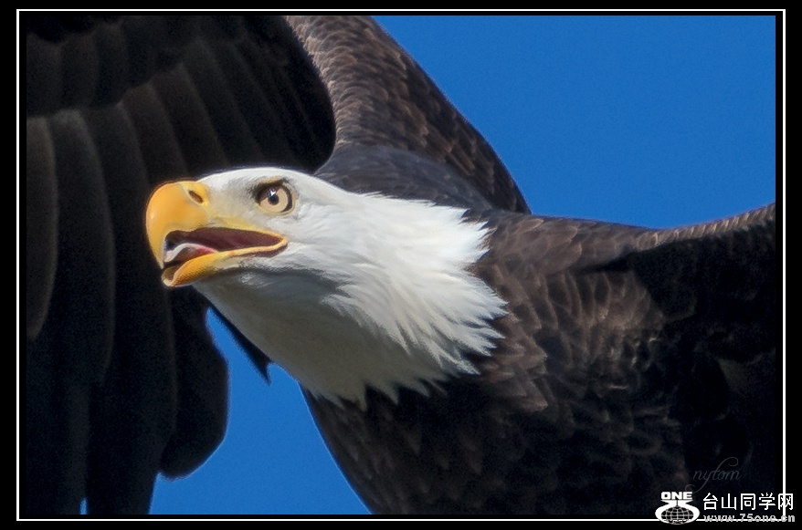 DSC_8344._..jpg