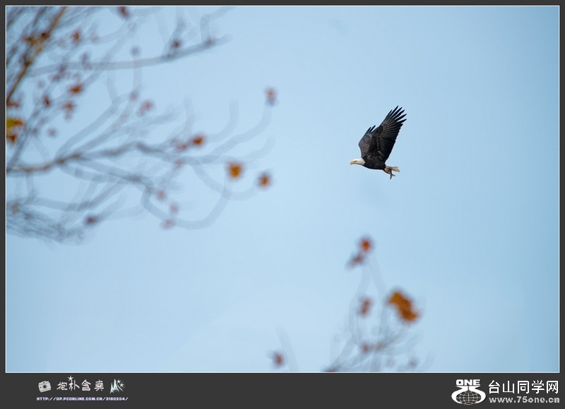 _DSC5135_DxOs.jpg
