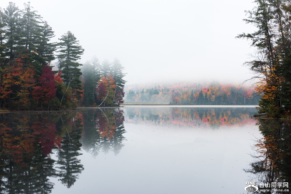 DSC_316611_.jpg