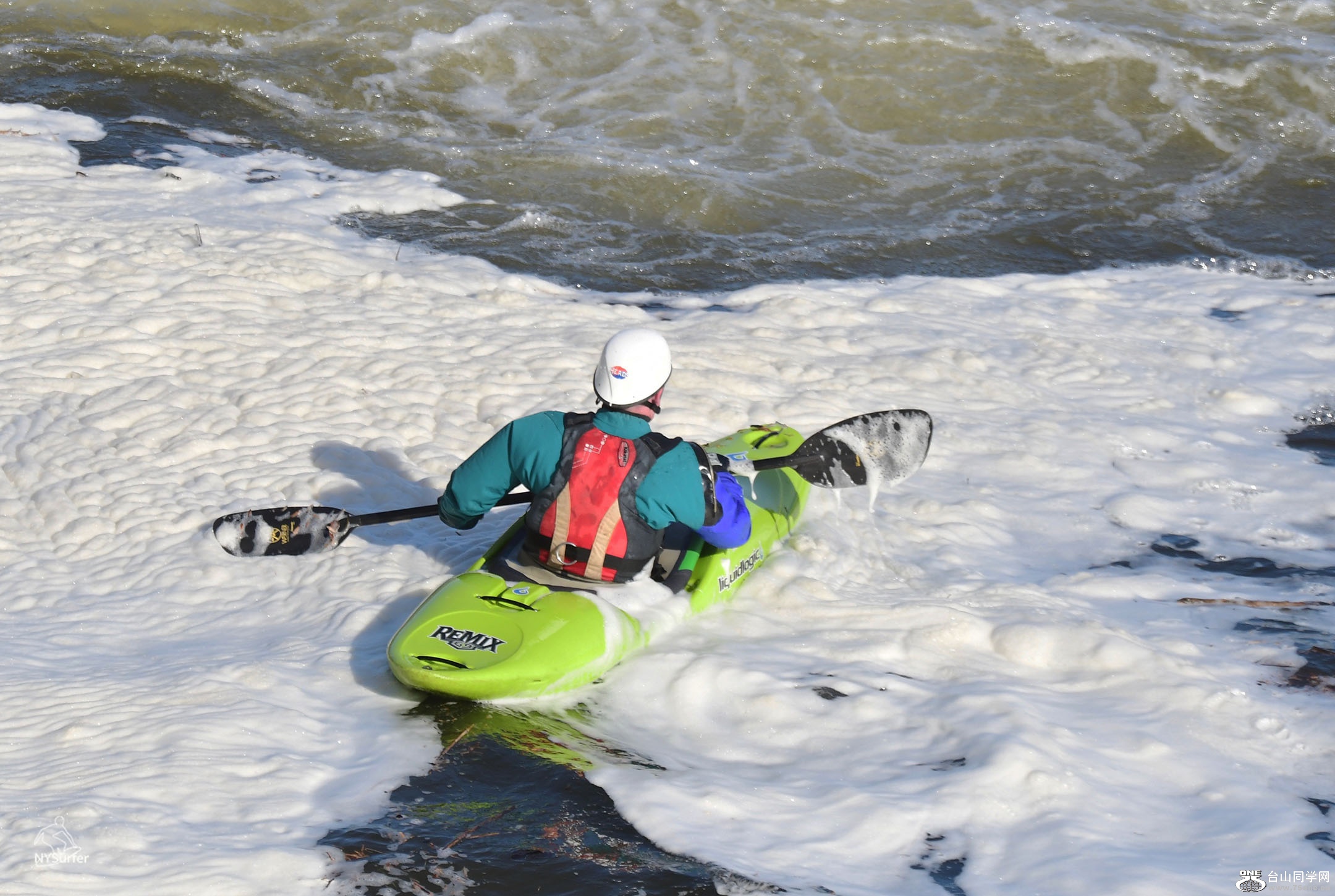 DSC_31370.jpg