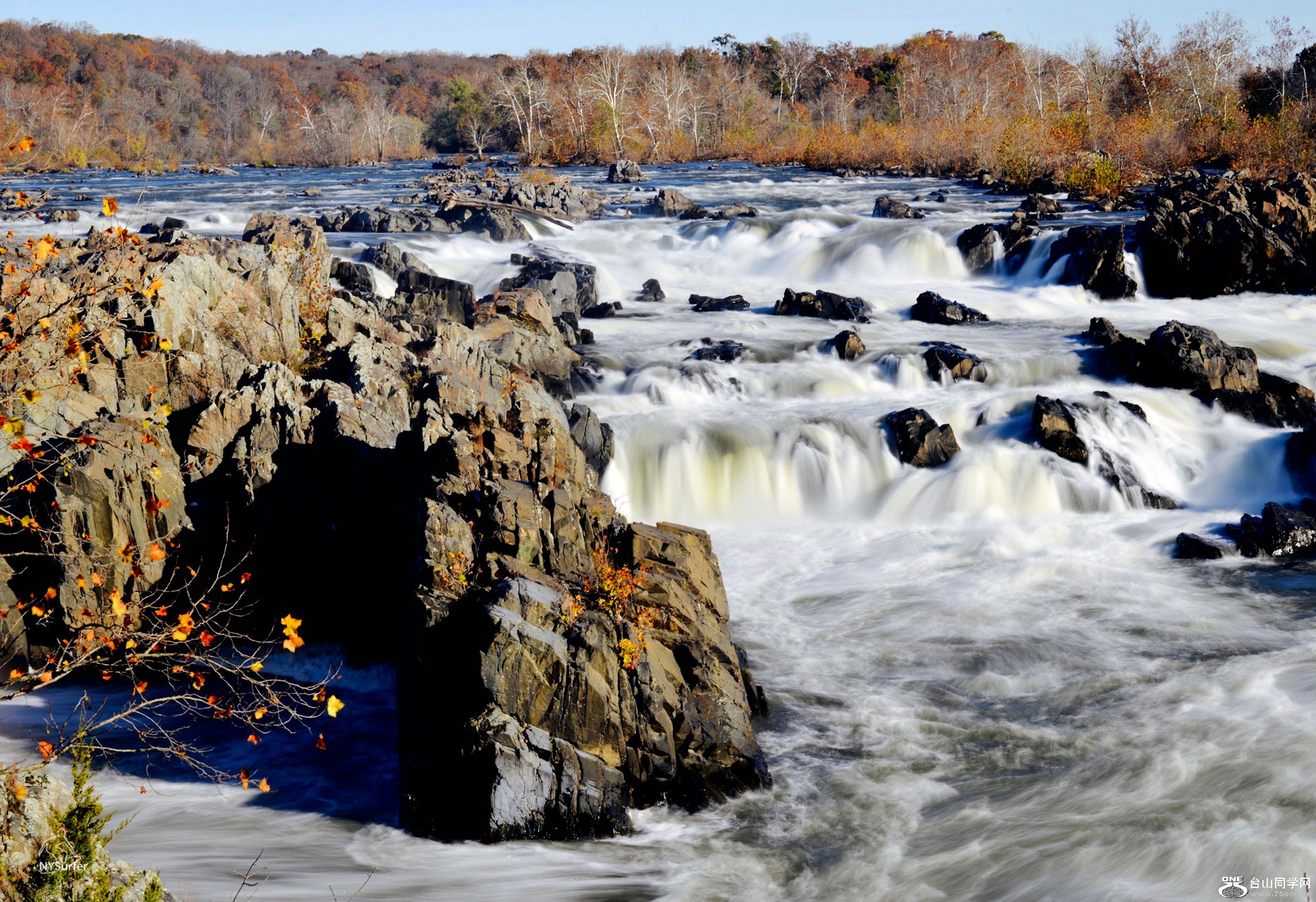 DSC_01391 2.jpg