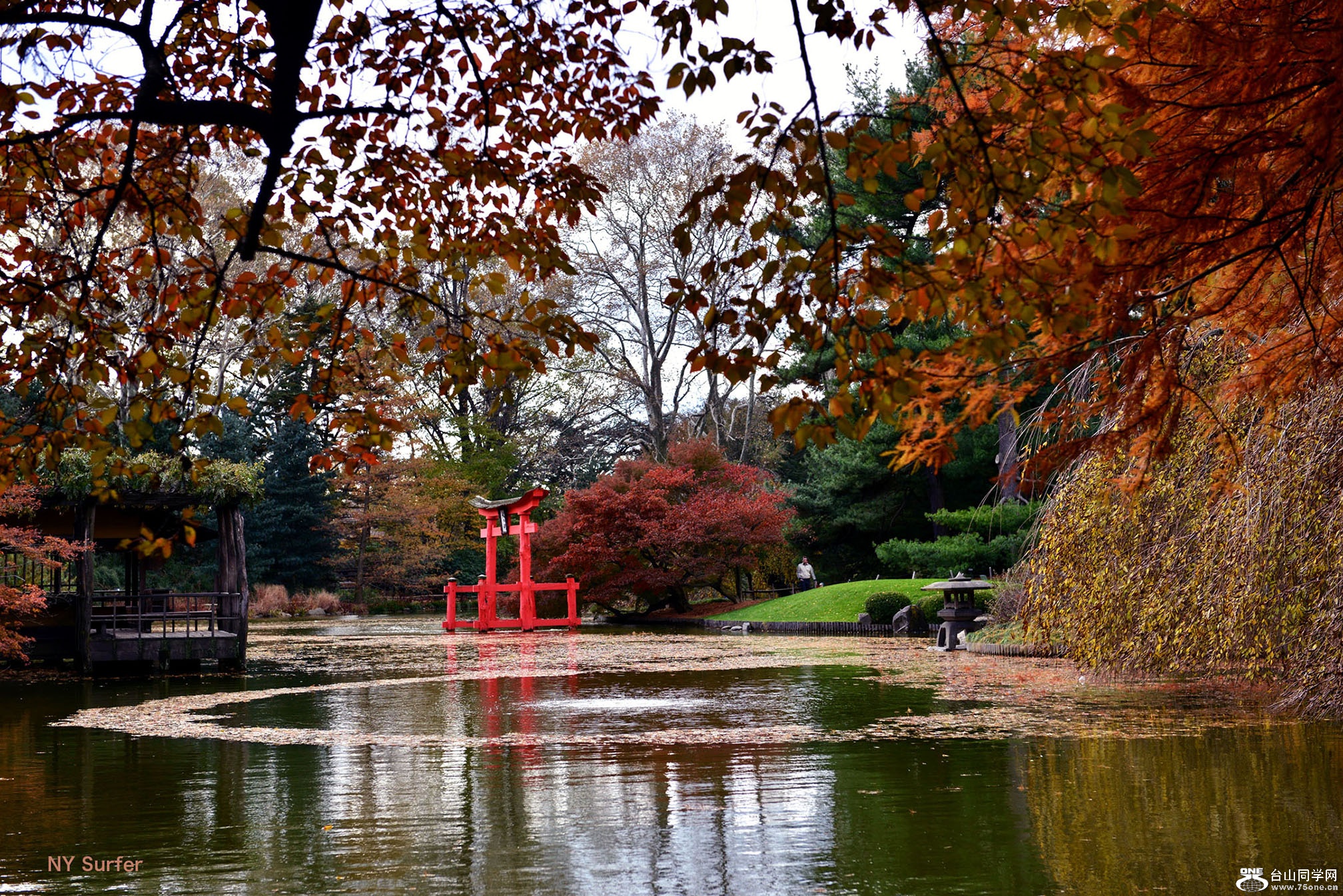 DSC_01553.jpg