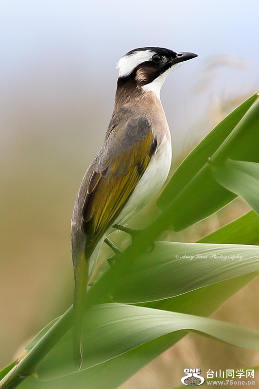 T5760x3840-02489.jpg