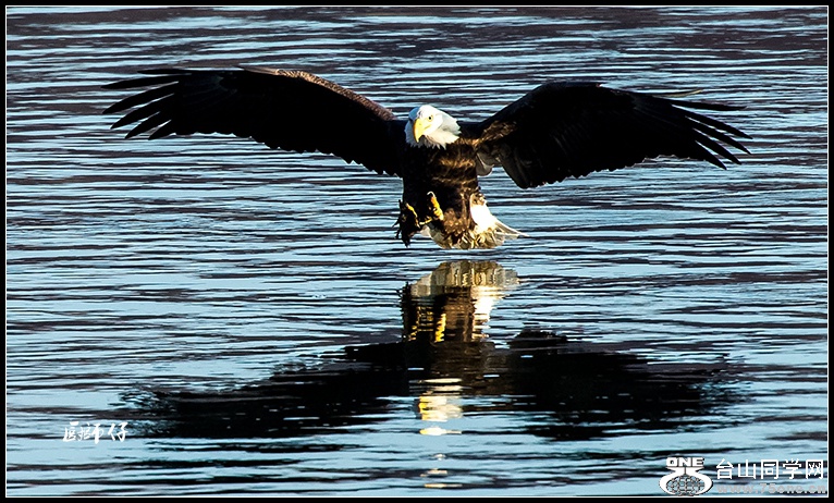 DSC_9134.jpg