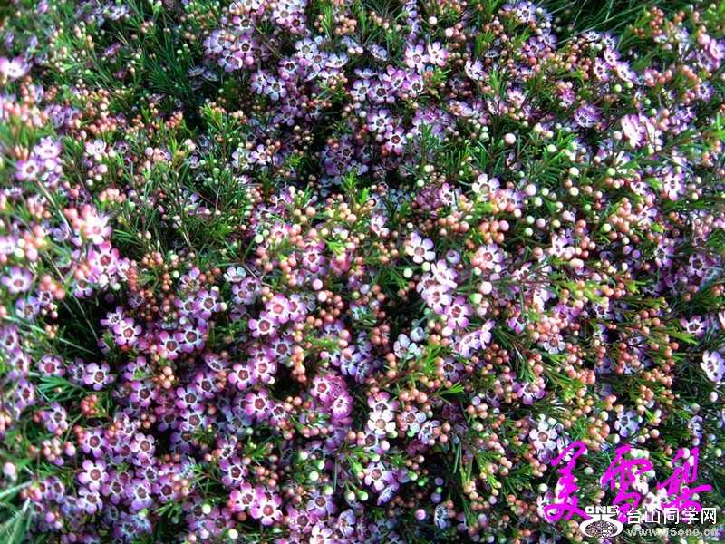 0DSC_0904_conew1.jpg