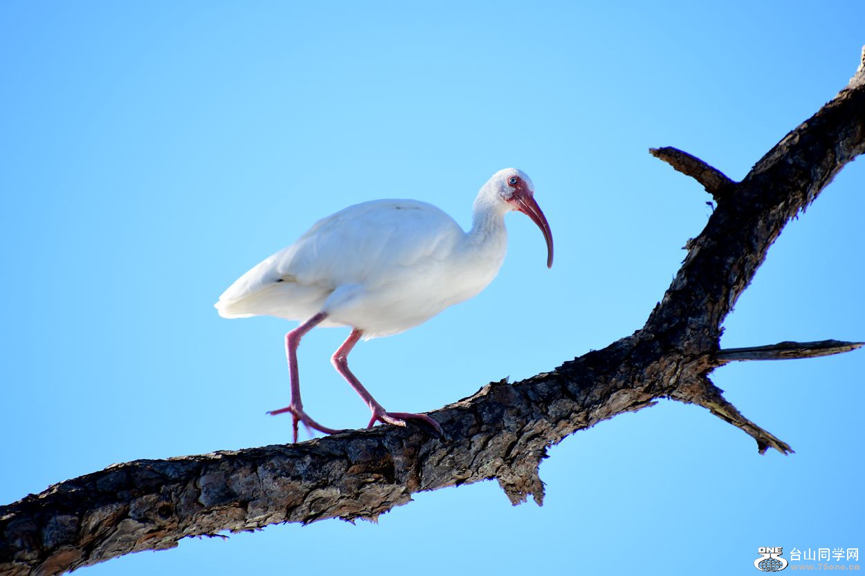 DSC_3557_.jpg