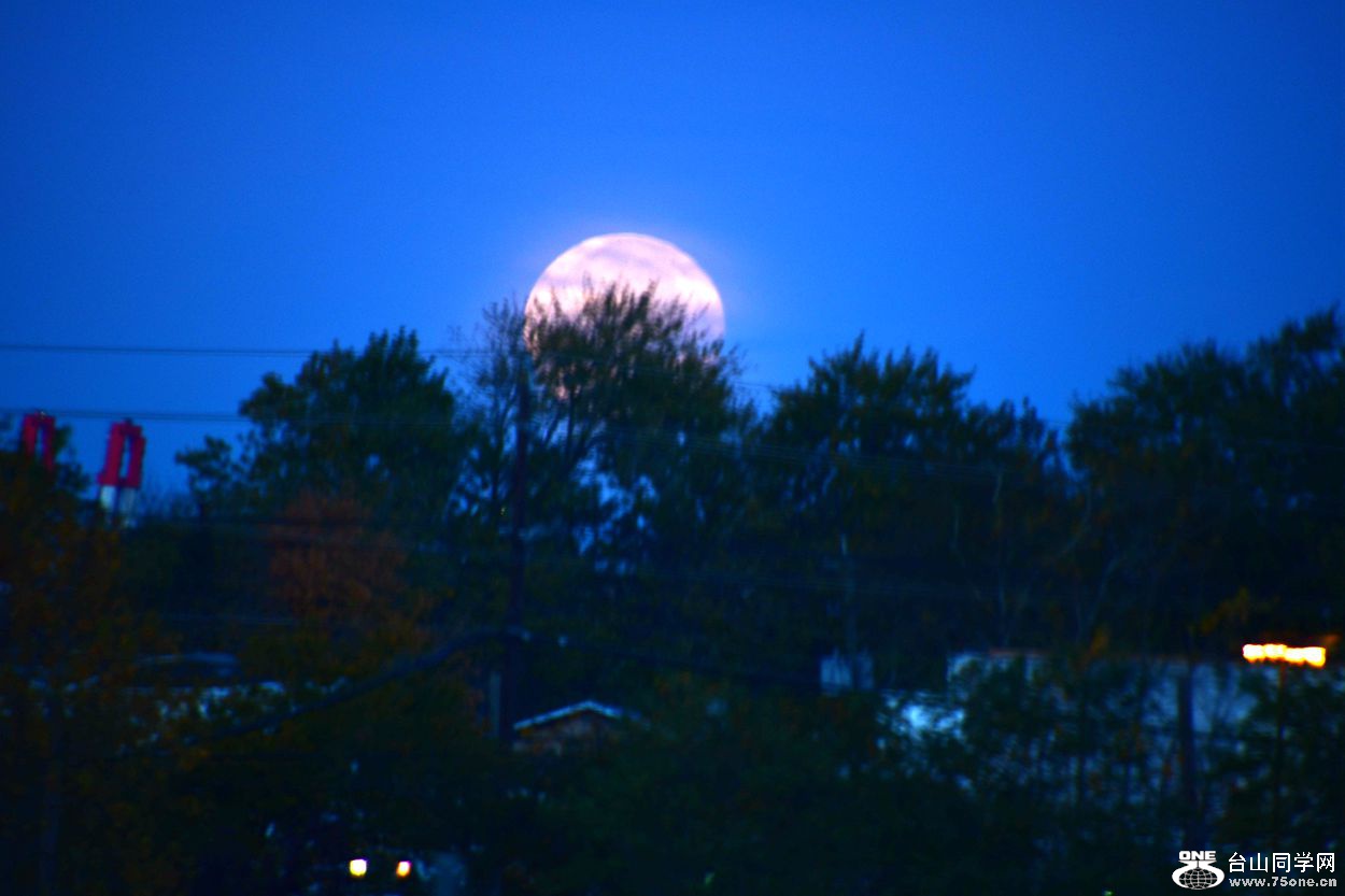 DSC_3964_.jpg