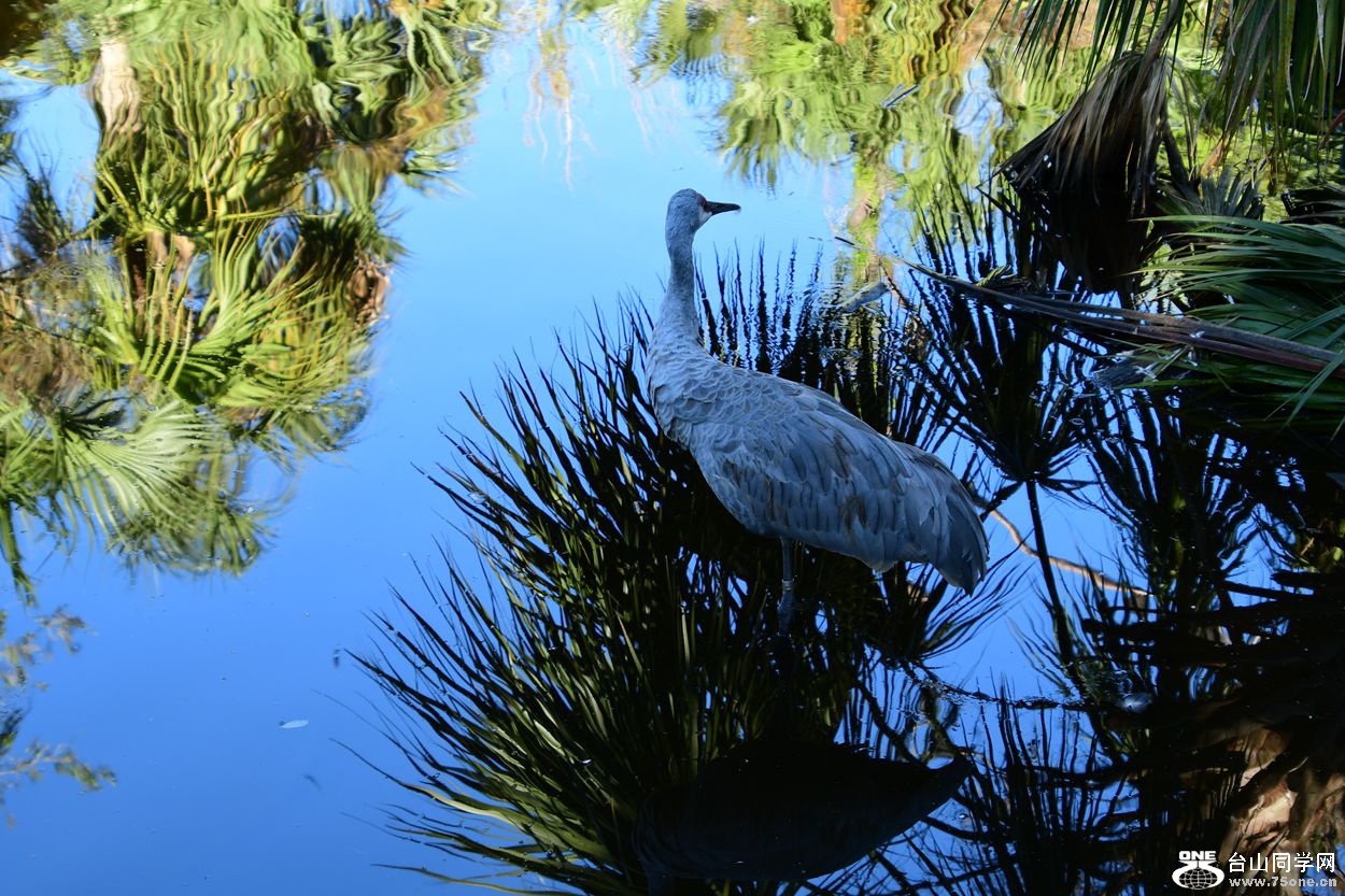 DSC_3578_.jpg
