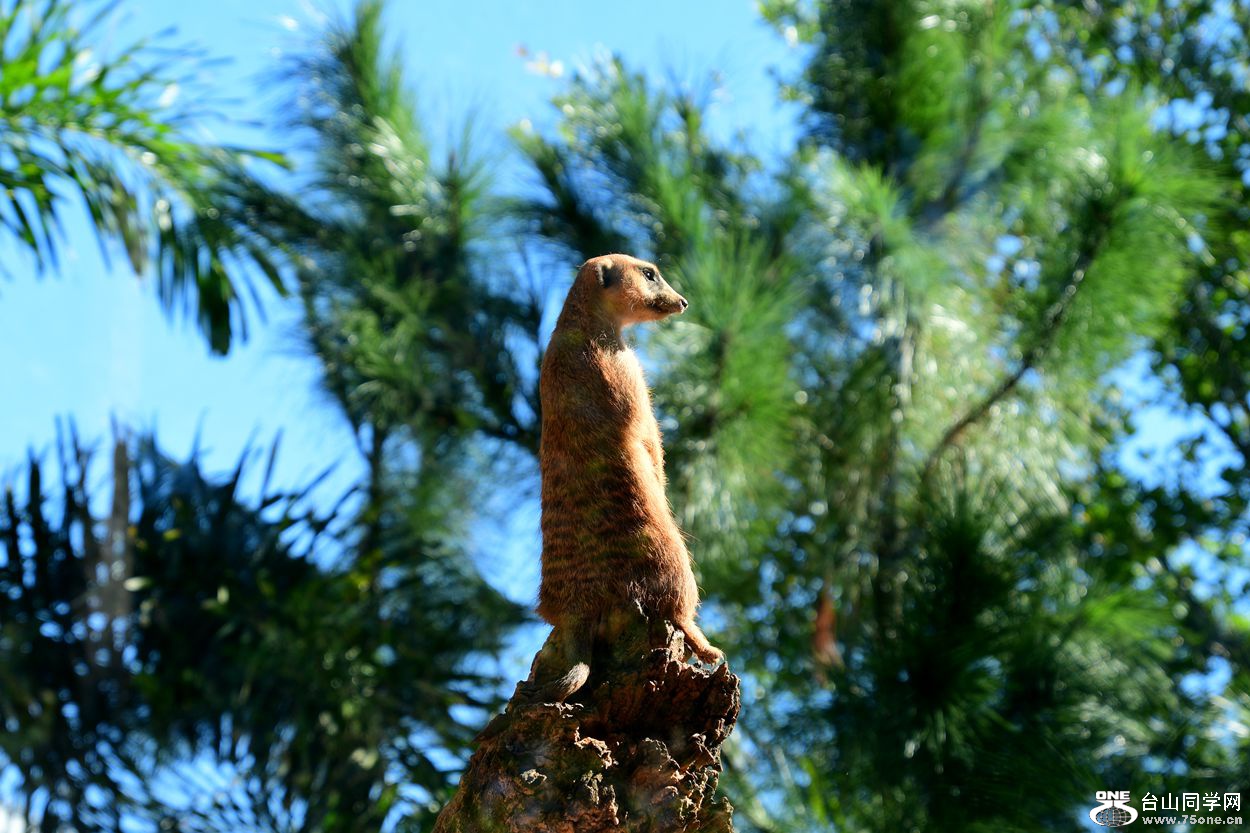 DSC_3403_.jpg